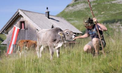 Heimatleuchten: Steirische Almen
