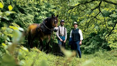 Hoagascht: Gsunder Wald