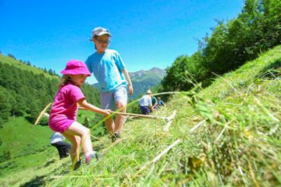 Ich, Bauer: Vom Glück satter Wiesen