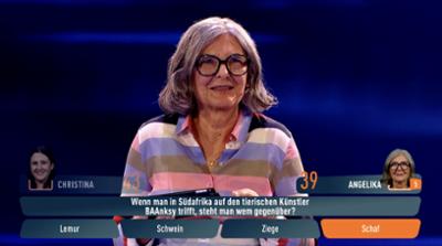 Quizjagd: Malen nach Schaf