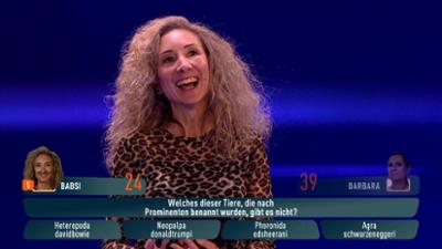 Quizjagd: Trump: Motte oder Elefant?