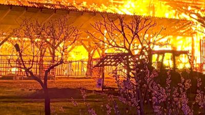 Servus am Abend: Bauer rettet seine Rinder