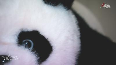 Servus am Abend: KI-Panda für Kinder
