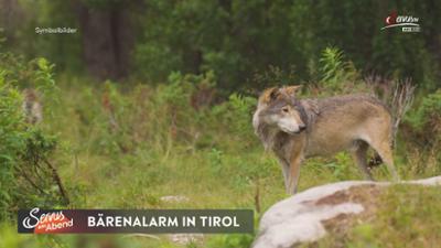 Servus am Abend: Auto überschlägt sich