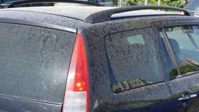 Servus am Abend: Gefahr für die Gesundheit?