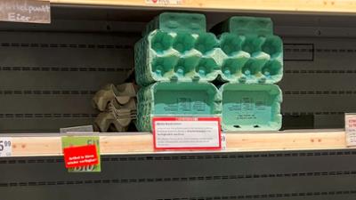 Servus am Abend: Steigende Eierpreise