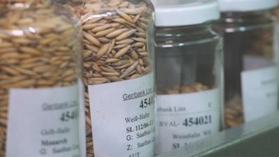 Servus am Abend: Saatgut-Schatz in Linz