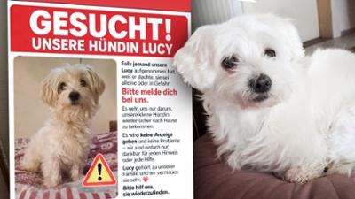 Servus am Abend: Drama um Hündin Lucy
