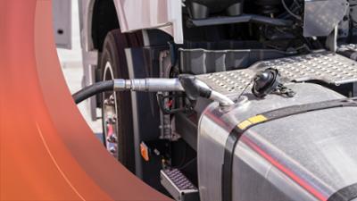 Servus am Abend: | 23.03.