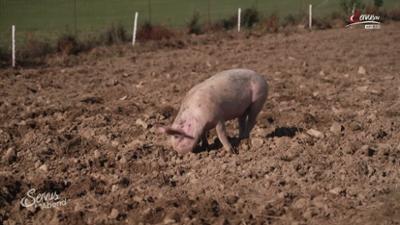 Servus am Abend: Ein Geschenk des Himmels