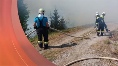Servus am Abend: | 27.04.