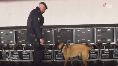 Servus am Abend: Terrorgefahr bei Events?