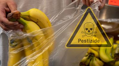 Servus Nachrichten: Verbotene Pestizide im Obst
