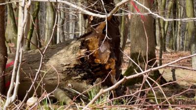 Servus Nachrichten: Tödliche Ostereier-Suche