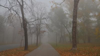 Servus Nachrichten: Trübster Winter seit Jahren