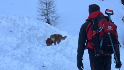 Servus Nachrichten: Lawinen-Alarm im Alpenraum
