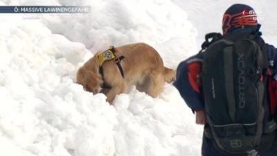 Servus Nachrichten: Lawinenchaos am Arlberg