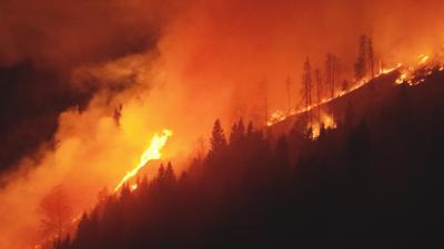 Servus Nachrichten: 35 Hektar Wald brennen