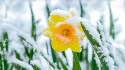 Servus um 2: Rätsel Aprilwetter