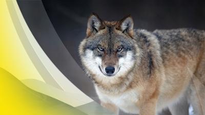 Servus um 2: | 01.04.