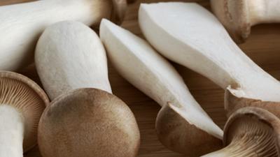 Servus um 2: Pilze aus der Flasche