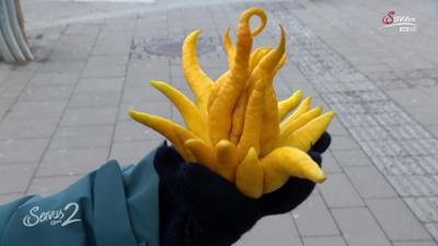 Servus um 2: Garteln in Schönbrunn