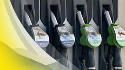 Servus um 2: | 10.03.