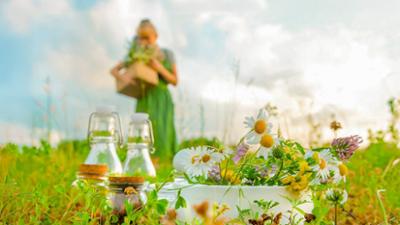 Servus um 2: Talk: Kräuter-Detox