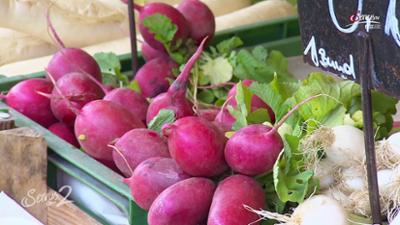 Servus um 2: Arche Noah rettet Pflanzen