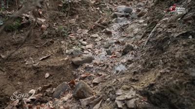 Servus um 2: Müllskandal in Kärnten