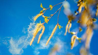 Servus um 2: Volkskrankheit Allergien