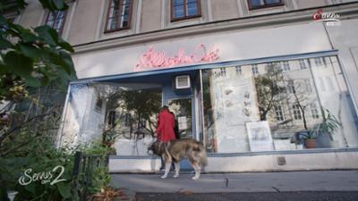 Servus um 2: Allergiker-Café in Wien