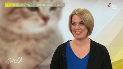Servus um 2: Was Katzen wirklich wollen