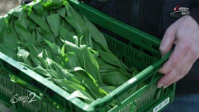 Servus um 2: Bürokratie bremst Ernte