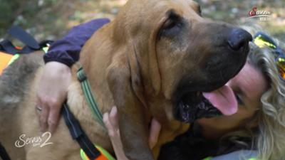 Servus um 2: Bluthunde als Detektive