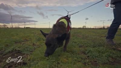 Servus um 2: Hunde schützen Lebensmittel
