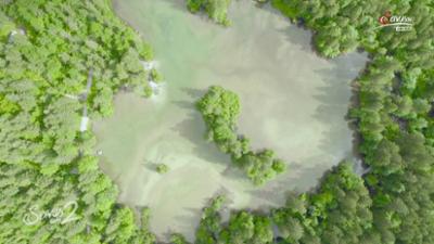 Servus um 2: Ruheoase bei Hallstatt