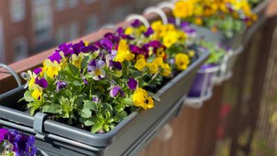 Servus um 3: Balkon statt Bali