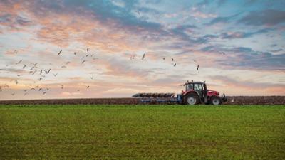 Servus um 3: Frühling im Bauernjahr