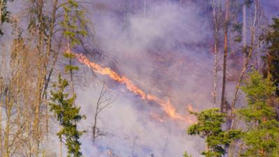 Servus um 3: Waldbrand am Faaker See