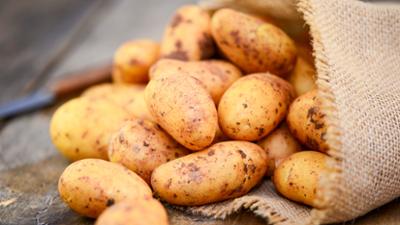 Servus um 3: Erdäpfel-Überschuss