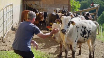 Servus um 3: Zwergzebus an der Grenze