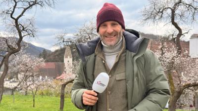 Servus Wetter: Marillenblüte in Gefahr?
