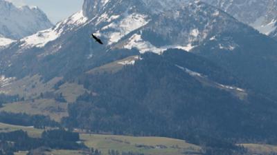 Servus Wetter: Kommt der Frühling zurück?