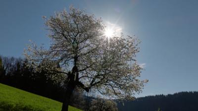 Servus Wetter: Frühlings-Turbo