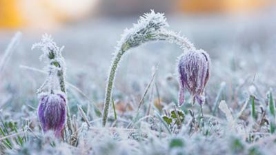 Servus Wetter: Wird es nochmal frostig?