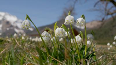 Servus Wetter: Schneechaos & 20-Grad-Wende