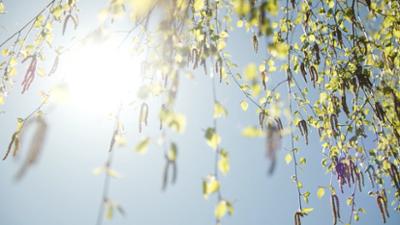 Servus Wetter: Trockenheit geht weiter!