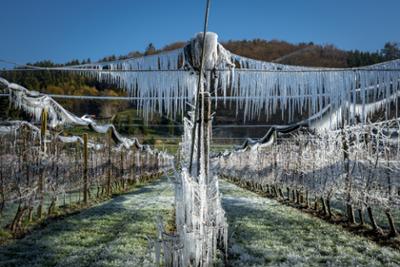 Servus Wetter: Große Frostgefahr!
