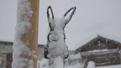 Servus Wetter: Wo steckt der Frühling?
